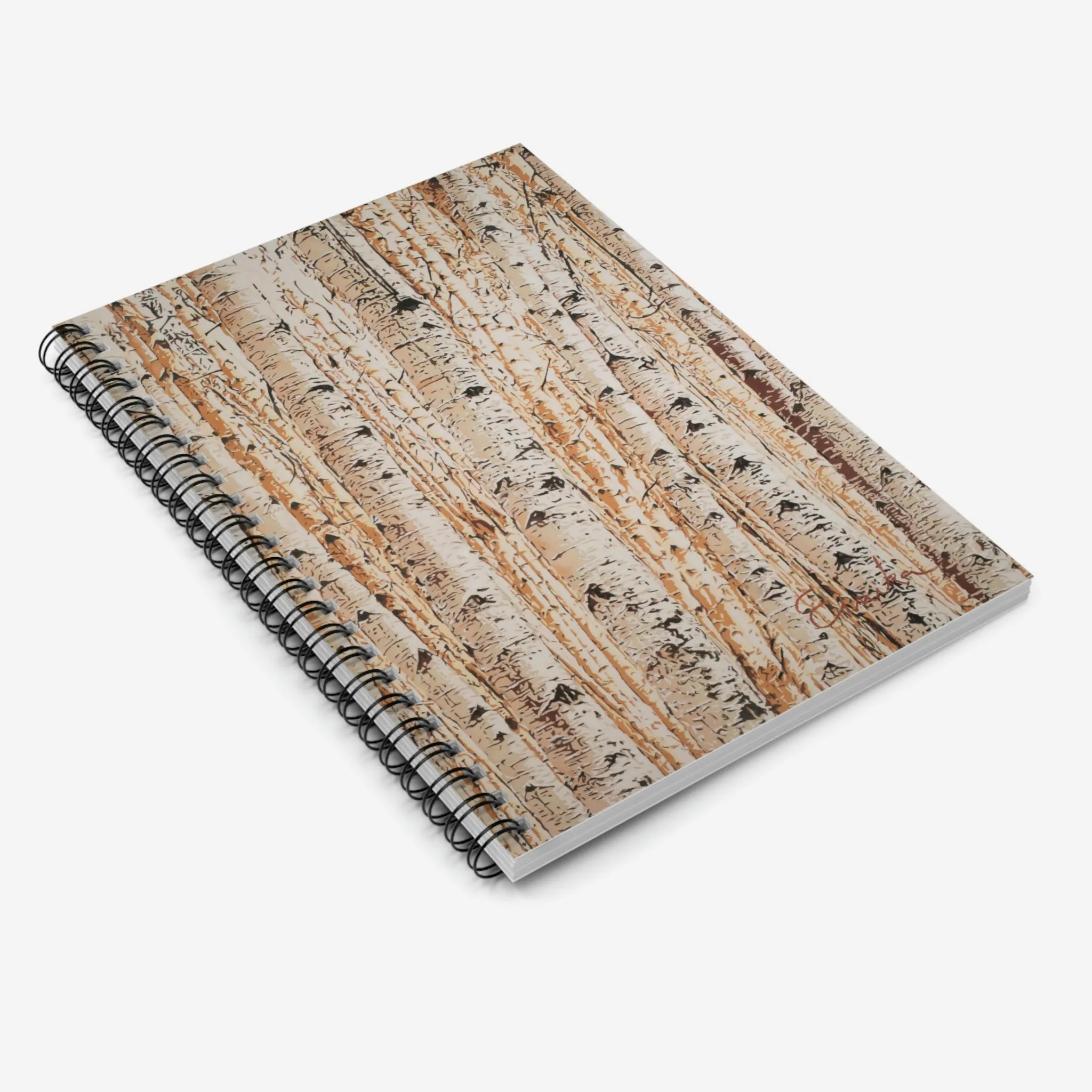 All We Can't See Notebook