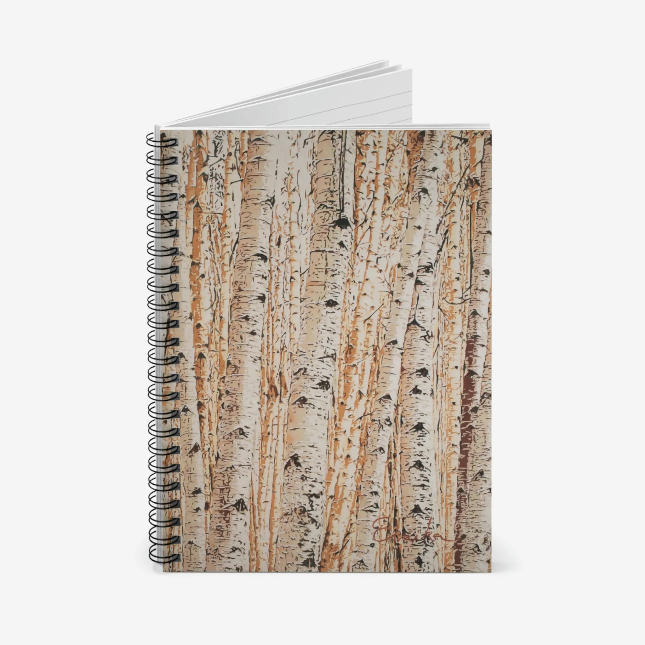 All We Can't See Notebook