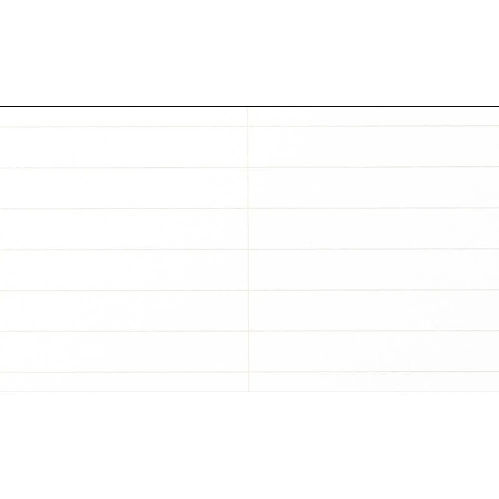 Field Notes Steno Notebook