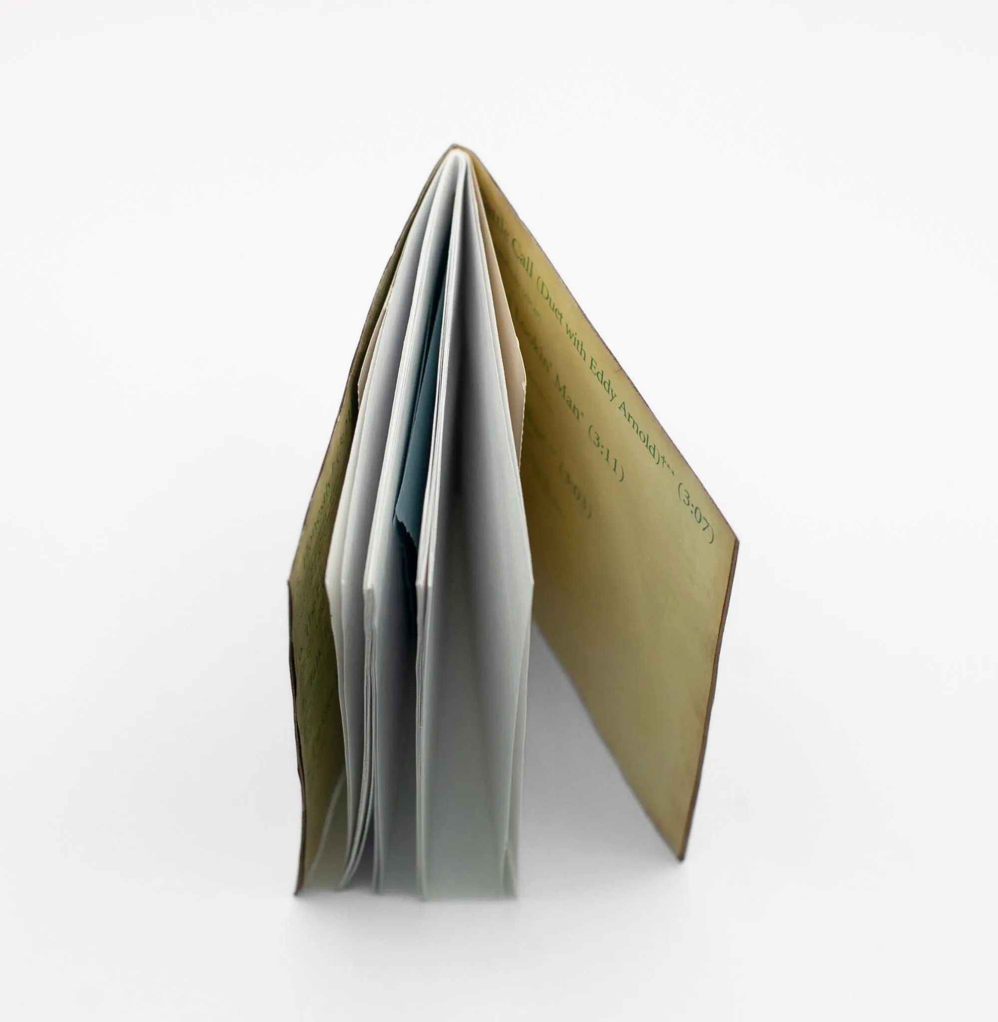 LeAnn Rimes Upcycled Sketchbook
