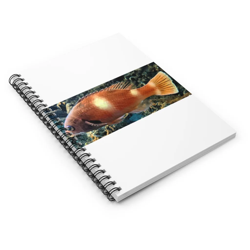 Orange Fish Spiral Notebook - Ruled Line
